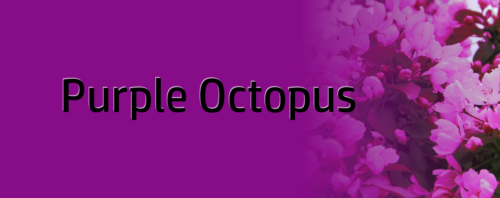 Purple Octopus